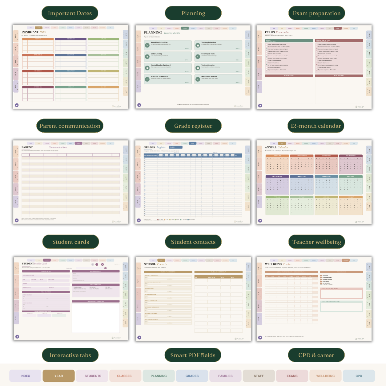 pill_ten_sections.png__PID:f9f971e4-048f-4351-9b29-8c18d0ab14c9